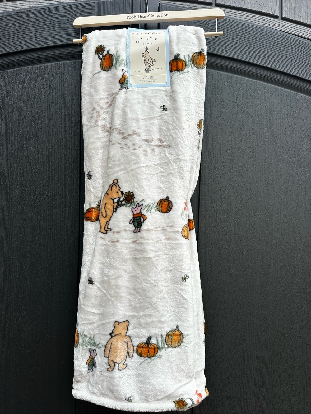 Classic Pooh Bear Collection Plush Throw Fall Pumpkin Blanket NWT